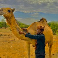 ebrahim92802