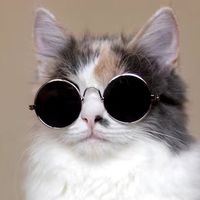 bekoznawca