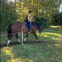 victoria.andresen
