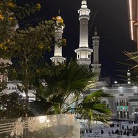 marwa_r11