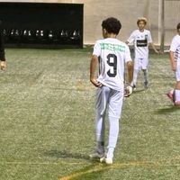 amo_b8