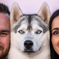 upps_husky