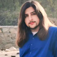 original sound - reevanxsidhu