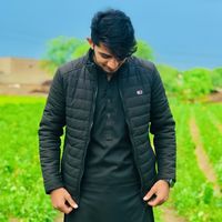 dailytraveler1