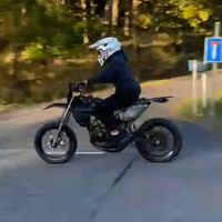 ronygrischare