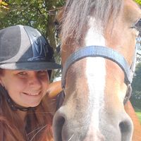 poniesandpages