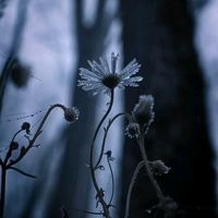 lost_soul0003
