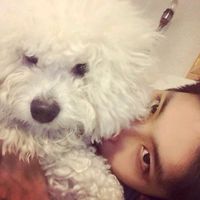 heavncrush