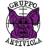 forza_rapid1899