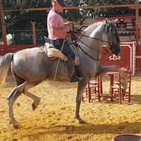 j.godoy55numberone
