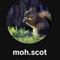 scotmoh