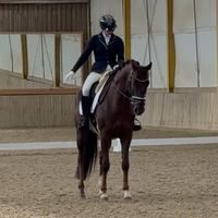 sophietschi_x_equestrian