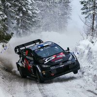 wilderhinopill83