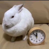 clearlycharles9
