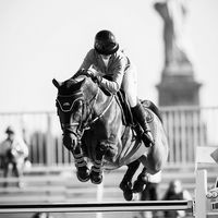 equestrianvideosx