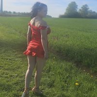 lorysel