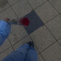 die_kurdin458