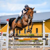 camillarasanen.eq