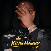 2k5_harry