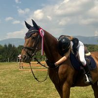 mona.meister.equestrian