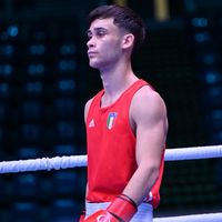 davidflower_boxing