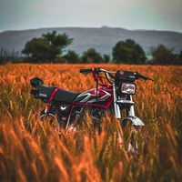 _ubaid539