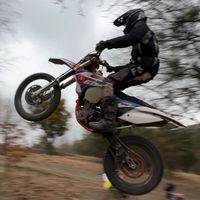 bimber_sx85