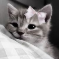 xrandom.stuff5