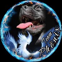 xxxpercydogxxx