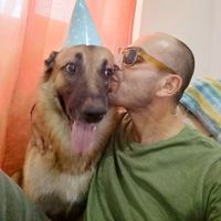 pippogol2