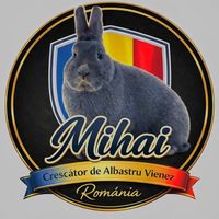 mihai_marian88