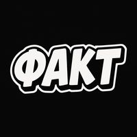faktcy