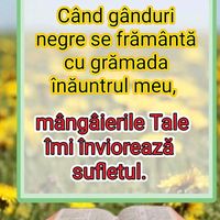 nikradu0