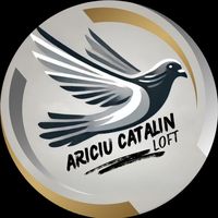 ariciu.catalin