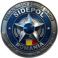 original sound - sidepolpolice