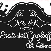 ipratidelgaglioffo