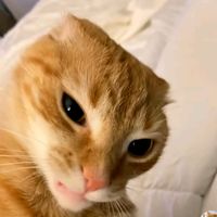 bonjour_761