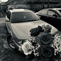 antonija_a6c4_