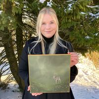 johannahautajarvi.art