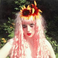 sugar_shura