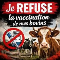 roiducoeur1