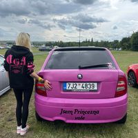 tynka.sany