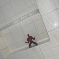 cooldilfluvr