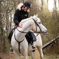 ange_cheval
