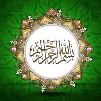 ismailameer1