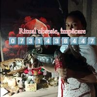 tamaduitoarealarisa