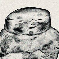 original sound - Brainkatt