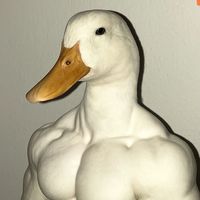 .vindieu