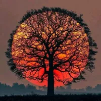 original sound - merab_writes92