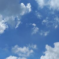 eltiempolocuratodo50